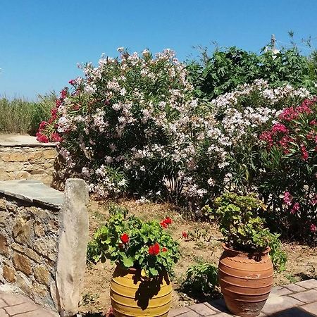 Villa Danai Agia Anna  ภายนอก รูปภาพ